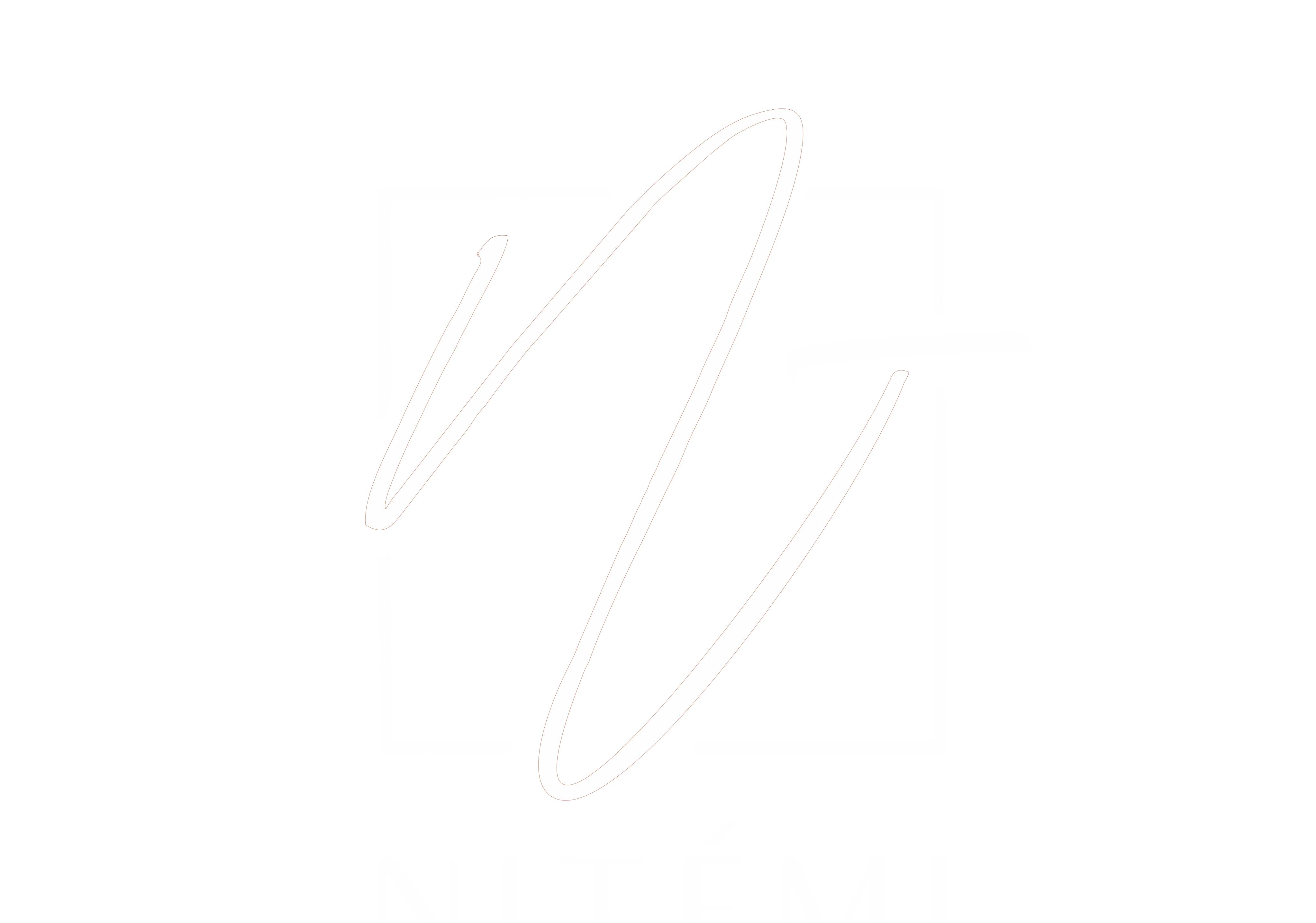 Nitemi Popup Shop